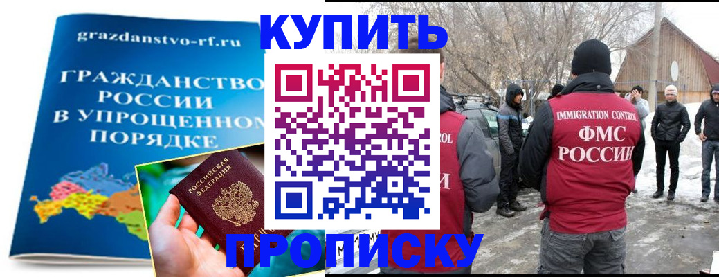 временная регистрация поиск в Мурманской области